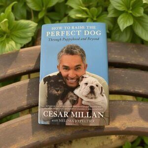 HOW TO RAISE THE PERFECT DOG BOOK
